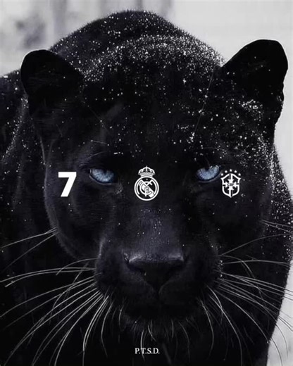 Vini JR 7 🇧🇷 @Vini Jr. #realmadridfc #vinijr #brazil #views #fyp