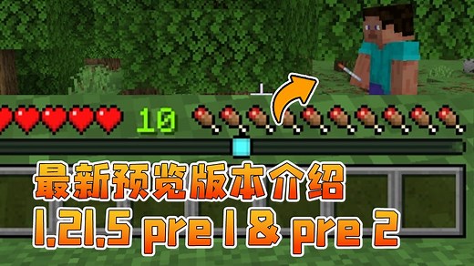 玩家定位条 我的世界新版本介绍 1.21.5 pre1 pre2