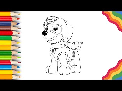 Learn How to Draw Zuma From Paw Patrol | Step by Step Drawing Tutorial For Kids