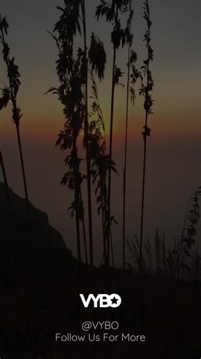 VYBO on Instagram: ""My Mission in life is not merely to survive, But to thrive." Subscribe to my YouTube Channel: https://www.youtube.com/@vybo #Motivation #FinancialFreedom #WealthMindset #EntrepreneurLife #BreakTheSystem #MoneyMindset #BusinessOwner #ThinkDifferent #MindsetMatters #SuccessDriven #FinancialEducation #FreedomLifestyle #CreateNotConsume #WealthBuilding #StayWoke"