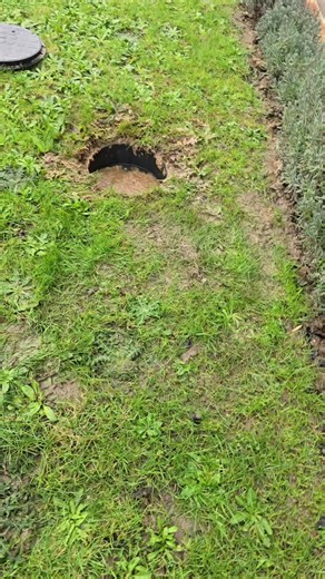 Effective Solutions for Blocked Toilets Using Drain Jetting