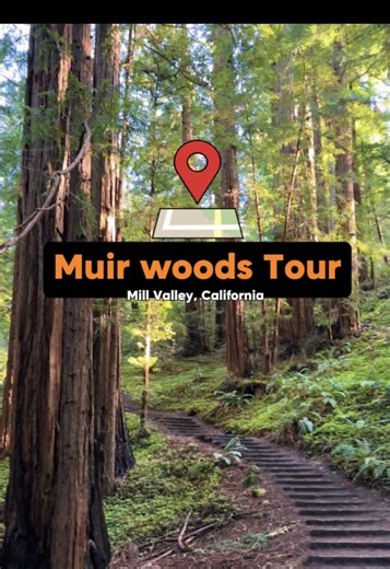 If you’re visiting San Francisco and want to see the redwoods without renting a car, this Muir Woods day tour makes it really easy 🌲 In one trip you get to experience: • Walking through the ancient redwoods at Muir Woods National Monument • A scenic stop at the iconic Golden Gate Bridge for photos • Free time exploring the waterfront town of Sausalito It’s one of the easiest ways to see Northern California nature while staying in San Francisco. What the tour usually includes: • Shuttle transpor