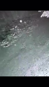 6.4K views · 34 reactions | Shapeshifting creature caught on security camera | Conspiracy Realist | Facebook