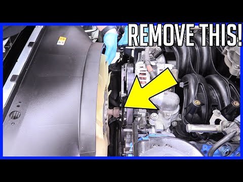 How to Remove and Install a Fan Clutch Assembly | EASY!