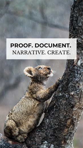 Most photographers pull up to a wildlife sighting and just start firing shots, hoping something works. After many years guiding photographers on safari, here’s the framework that changes everything: Proof. Document. Narrative. Create. Proof = get one shot immediately that shows what you saw (your insurance policy). Document = clean, solid image of the subject (technically good, but boring—this is where most photographers live). Narrative = wait for behavior and moments that tell a story. Your im