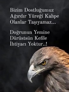 303K views · 9.4K reactions | Asil Adam on Reels | Facebook