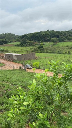 Fiat Uno sobe rampa? Teste off-road e desempenho na lama