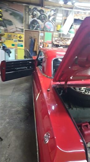 oh how i HATE MICE!!! #peppermint oil