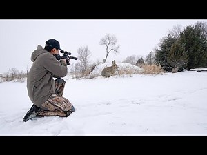 Rabbit Hunting with a 17 HMR Rifle! (CATCH CLEAN COOK)