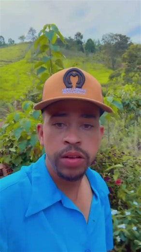 Does anyone know what the problem is with these seedlings? #viralvideo #shorts