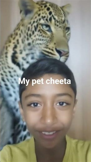 my pet cheetah