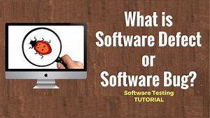 What is Software Defect or Software Bug? Software Testing Tutorial 22 : shalfeiのblog
