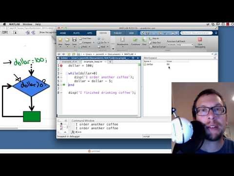 "While Loops" and "For Loops" in MATLAB