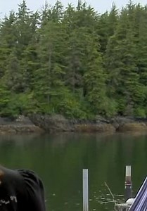 Buying Alaska S01:E07 - The Ultimate Alaskan Island