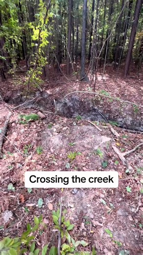 This is how we cross a flowing stream of water! #logging #tigercat #f... | Jazlyn Smith