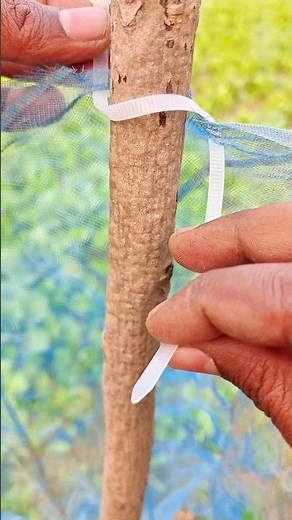 How to Tie Net Using Cable Ties | Easy Method 👍 #CableTie #NetFix #GardenNet #skills