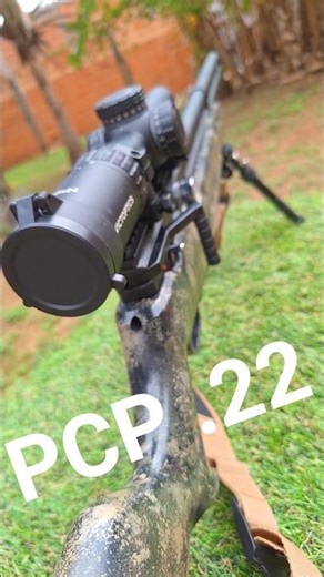 Airgun PCP Avenger / Riflescope Victoptics S10