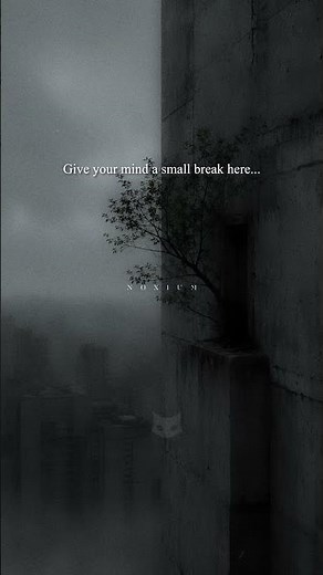 Your attention gets tired too... #ambientmusic #lofi #chillmusic