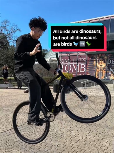 All birds are dinosaurs… but not all dinosaurs are birds. 🐦 ➡️ 🦖 Mind blown yet? Modern birds are the last surviving branch of theropod dinosaurs. Yes, that means your backyard pigeon is more closely related to Tyrannosaurus rex than T. rex was to Triceratops. Next time you see a bird, you’re looking at a living dinosaur. 👀 #Dinosaurs #BirdsAreDinosaurs #Evolution #Prehistoric #ScienceTok