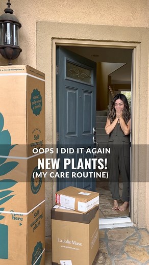 18K views · 679 reactions | I have too many Pothos and I just got...