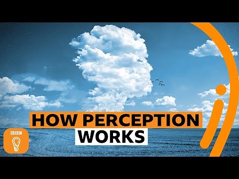 Why we see faces in clouds | BBC Ideas