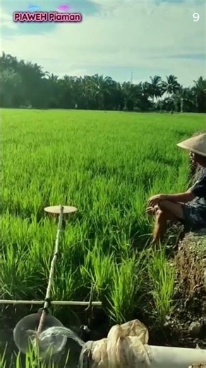 Smart farmers use irrigation channels to repel plant pests #shorts