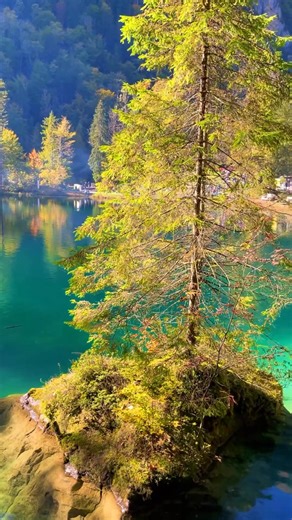 43K views · 2K reactions | Blausee one of the most magical lakes in...