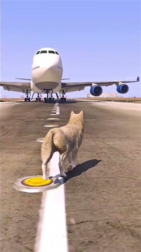 A Dog at Airport #gta5gameplay #gta #gta5hindi