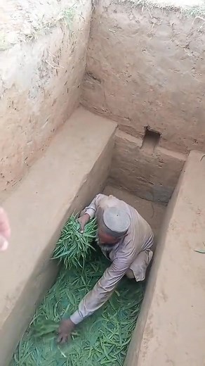 #mufti #salman #azhar #islamic #qustion #answer #fyp #fypage #foryoupage #fypジviral #tiktok #foryou #virol | Ayesha gull