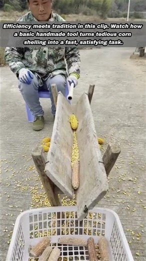 How To Use A Simple Wooden Manual Corn Sheller