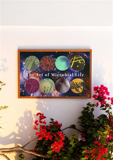 Bacterial Colonies Poster | Microbiology Art | Science Printable (digital Download) - Etsy