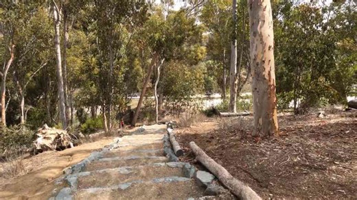 What Remains of the Abandoned 163 Hidden Inside Balboa Park