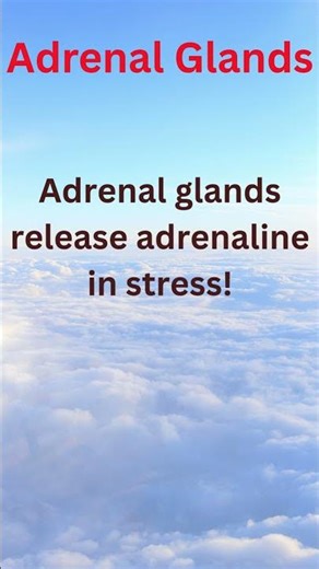 Surprising Medical Facts. Mind-Blowing Health Facts. Know more about your Health.