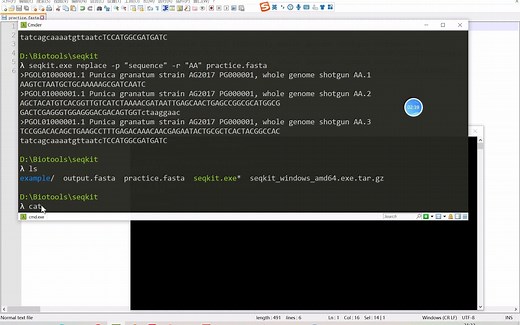 生物信息学入门-使用seqkit工具替换fasta文件序列id的内容