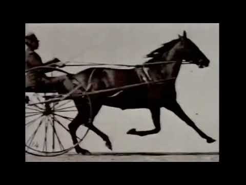 Horse and Carriage (1883) Eadweard Muybridge