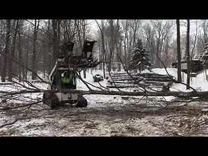 Chipping an entire tree.
