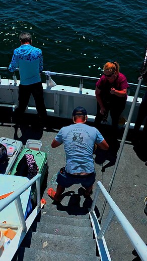 25 reactions · 15 comments | Capt Moo moo | Robert Quinn | Facebook