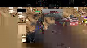 Experience all the same thrills as an official WRC driver! With 52 teams, 100 special stages across 14 countries, legendary cars and a reworked Career mode, this is the most complete rally simulation ever made. WRC 8 is now available on PC, PlayStation 4 and Xbox One. The Nintendo Switch version will be available in November. Purchase WRC 8 : https://buy.wrcthegame.com/ | WRC The Official Game