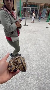 snake🐍 PRANK gone WRONG🤣🤣🤣🤣🐍🐍🐍🐍 #reptile #pranks #explor #snakes #foryou #fun #fypage #reptileprank #Reposted #snakeprsnk #daddysgirl #rappers #finnyjake #fypシ゚viralシ#blowthisup #repost #sharethecare #funny #prank #viral #edit #explore #sharethecare | Sosa_Gangfts
