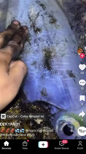 Mancing Cumi: Tips and Techniques with Sik Wii