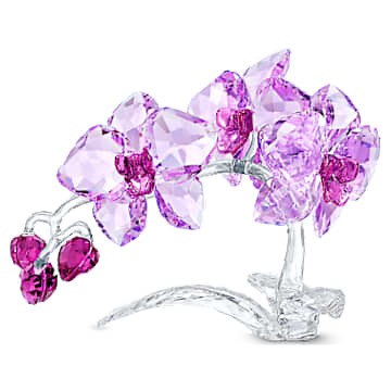 Crystal Flowers Orchid by SWAROVSKI
