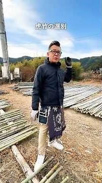 [Taketora] This is how Japan's only tiger bamboo is selected! The sorting method of bamboo transp...