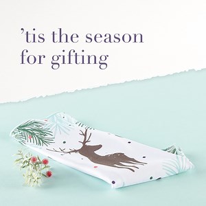 6.6K views · 192 reactions | Limited-edition holiday products like our reindeer Window Cloth make the perfect, festive hostess or secret santa gift! This handy cloth makes windows and mirrors sparkle with just water. 歷 | Norwex | Facebook