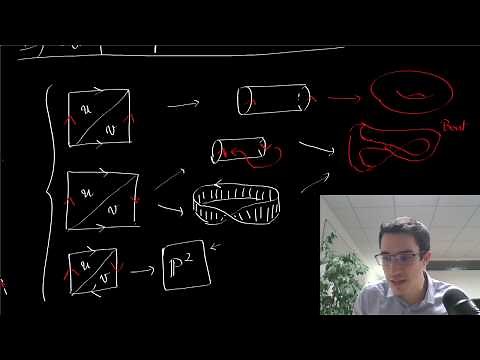 Topologie Algébrique II : Homologie, les exemples