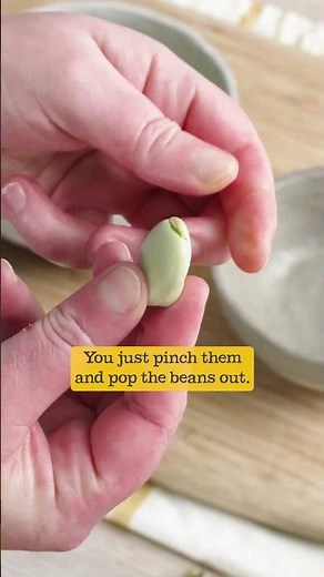 Double Pod Broad Beans