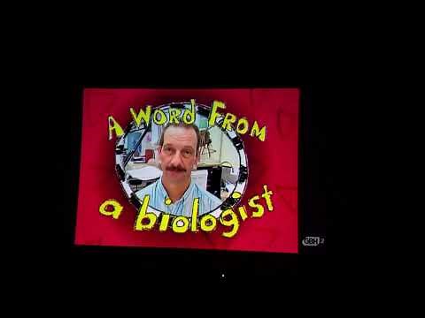 Arthur A Word From a Biologist
