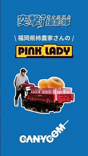 柿運搬に最適！安定感抜群のクローラー運搬車ピンクレディ｜キャニコム#shorts