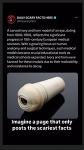 The carved ivory and horn model of an eye from the 19th century is a testament to the era’s advancements in medical education. During this period, Europe saw a surge in the establishment and expansion of medical schools, driven by an increasing understanding of human anatomy and the development of surgical techniques. These intricate models were indispensable in teaching medical students, providing a detailed and durable representation of anatomical structures. Ivory and horn were chosen for the