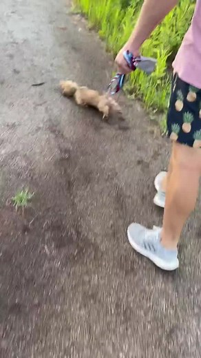 227K views · 5.8K reactions |  | Rumble | Facebook