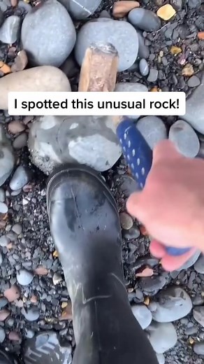 You wont believe what was inside! #foryou #foryoupage #fyp